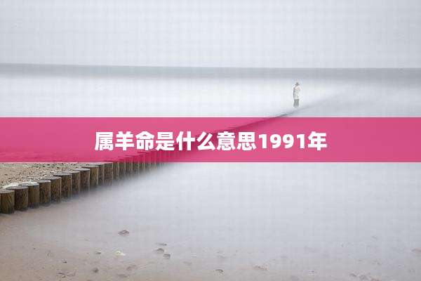 属羊命是什么意思1991年
