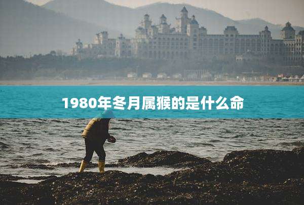 1980年冬月属猴的是什么命