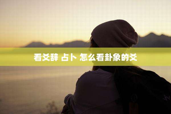 看爻辞 占卜 怎么看卦象的爻