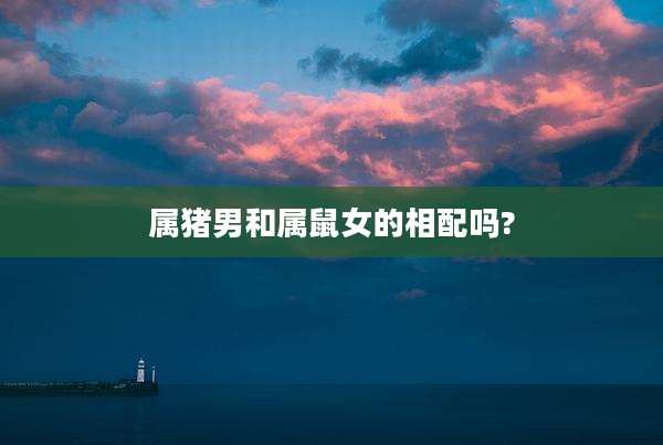 属猪男和属鼠女的相配吗?