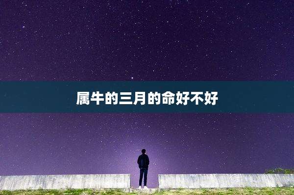属牛的三月的命好不好