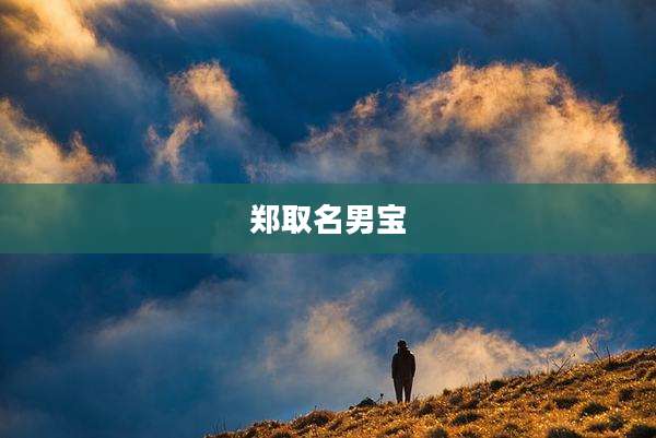 郑取名男宝