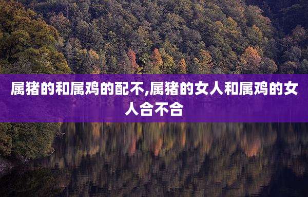 属猪的和属鸡的配不,属猪的女人和属鸡的女人合不合