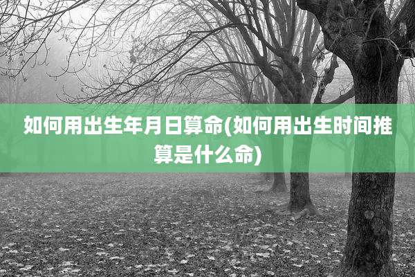 如何用出生年月日算命(如何用出生时间推算是什么命)