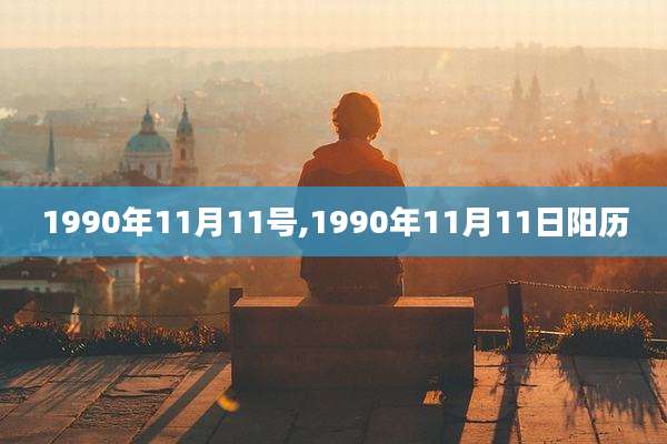 1990年11月11号,1990年11月11日阳历