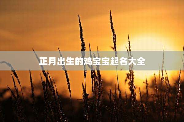 正月出生的鸡宝宝起名大全