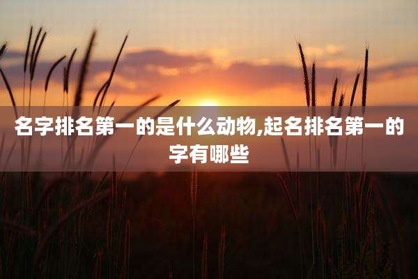 名字排名第一的是什么动物,起名排名第一的字有哪些