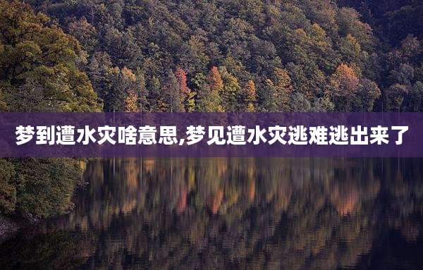 梦到遭水灾啥意思,梦见遭水灾逃难逃出来了