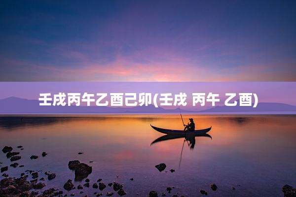壬戌丙午乙酉己卯(壬戌 丙午 乙酉)