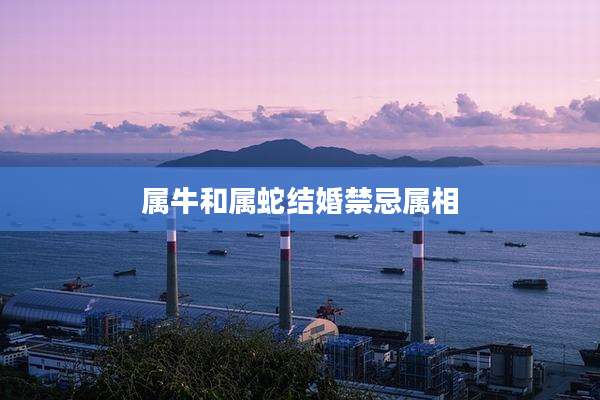 属牛和属蛇结婚禁忌属相