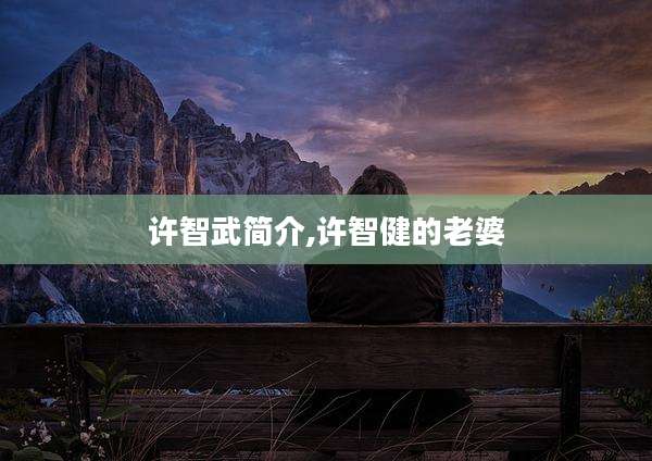 许智武简介,许智健的老婆