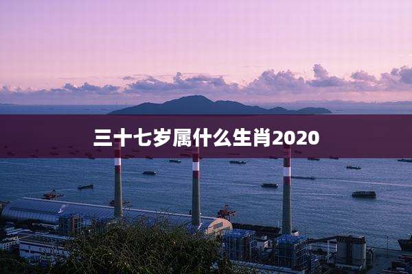 三十七岁属什么生肖2020