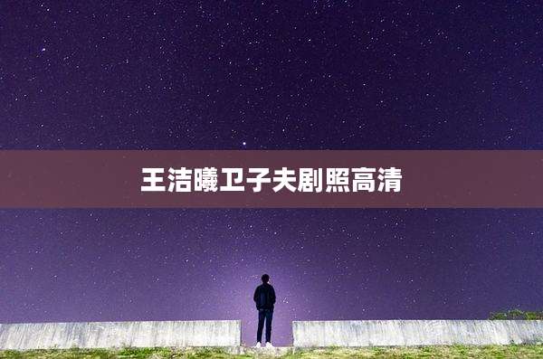 王洁曦卫子夫剧照高清