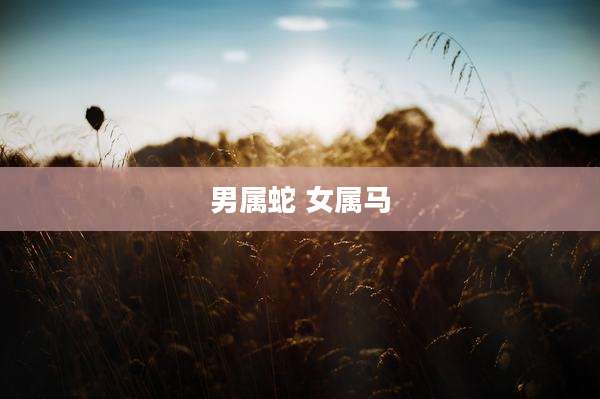 男属蛇 女属马
