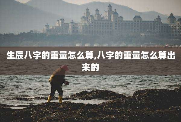 生辰八字的重量怎么算,八字的重量怎么算出来的