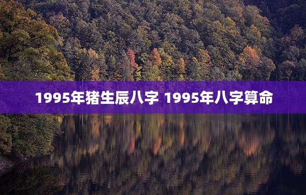 1995年猪生辰八字 1995年八字算命