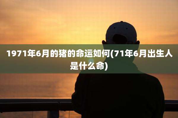 1971年6月的猪的命运如何(71年6月出生人是什么命)