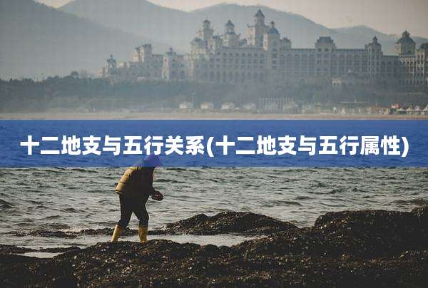 十二地支与五行关系(十二地支与五行属性)