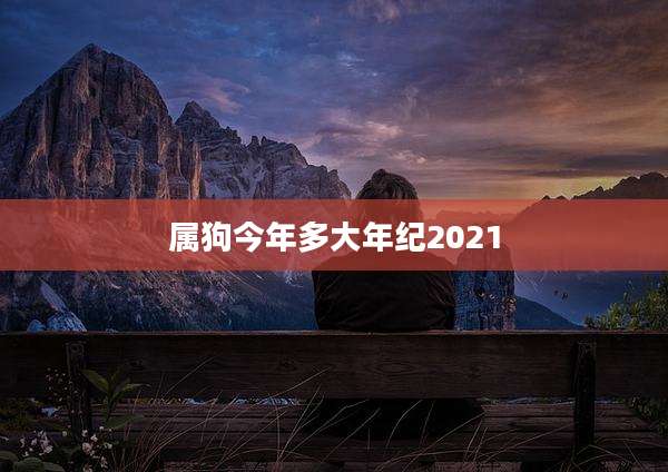 属狗今年多大年纪2021