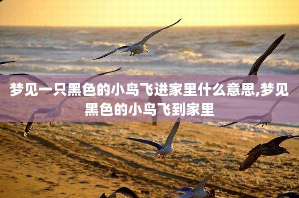 梦见一只黑色的小鸟飞进家里什么意思,梦见黑色的小鸟飞到家里