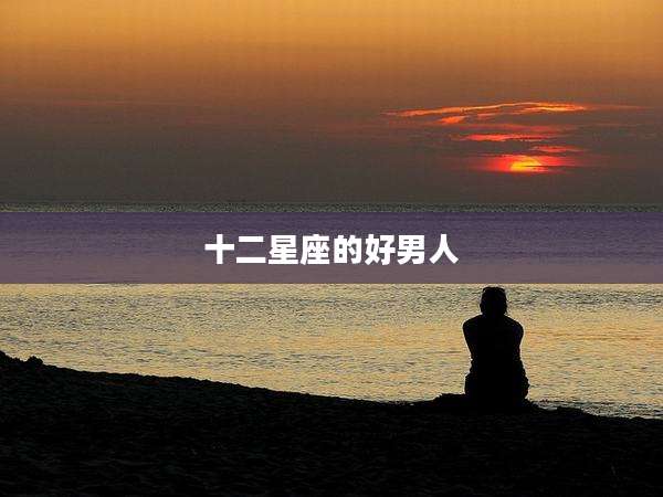 十二星座的好男人