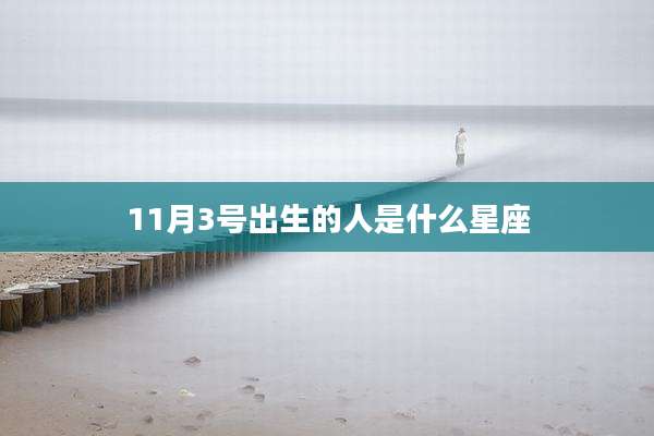 11月3号出生的人是什么星座