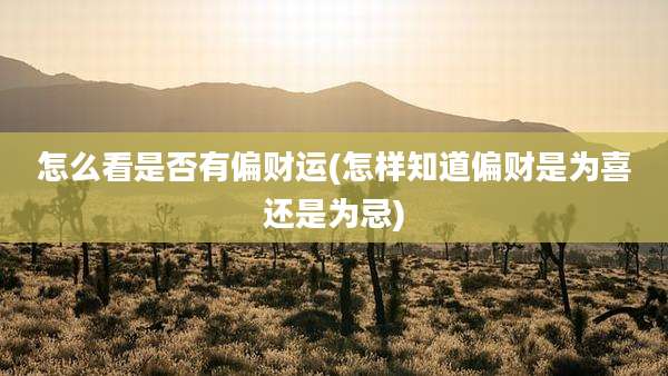 怎么看是否有偏财运(怎样知道偏财是为喜还是为忌)