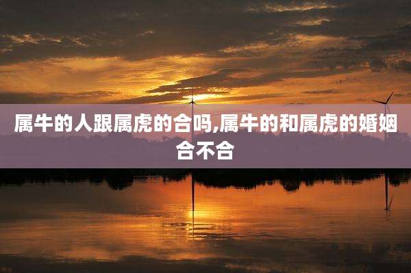 属牛的人跟属虎的合吗,属牛的和属虎的婚姻合不合