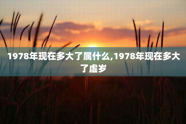 1978年现在多大了属什么,1978年现在多大了虚岁