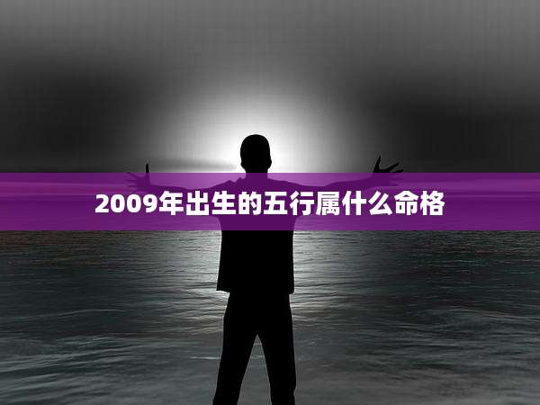 2009年出生的五行属什么命格