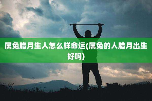 属兔腊月生人怎么样命运(属兔的人腊月出生好吗)