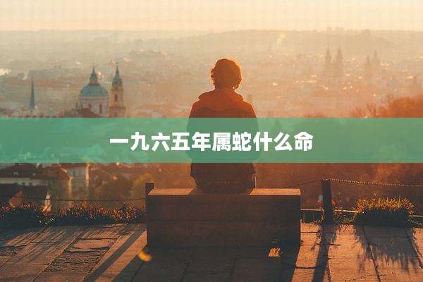 一九六五年属蛇什么命