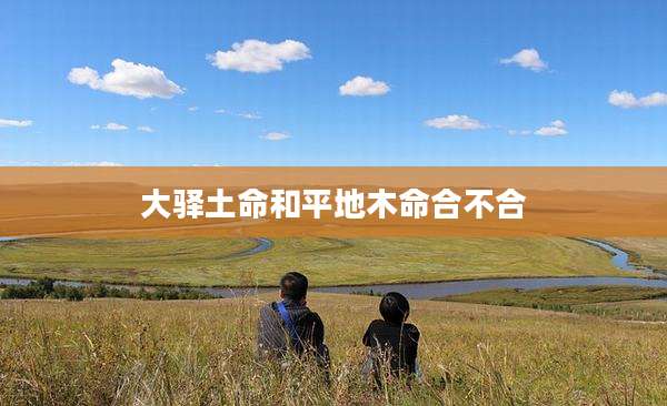 大驿土命和平地木命合不合