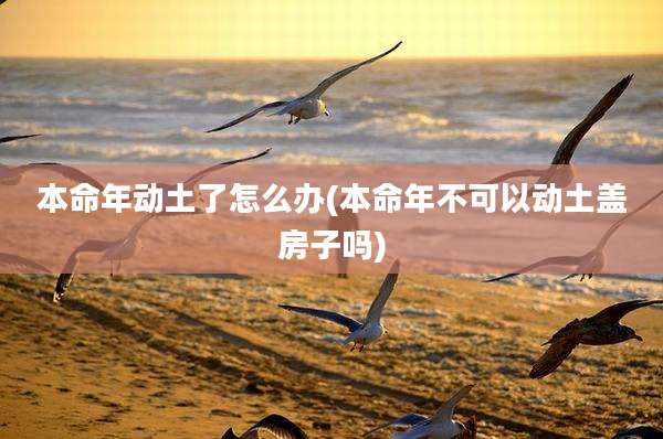 本命年动土了怎么办(本命年不可以动土盖房子吗)