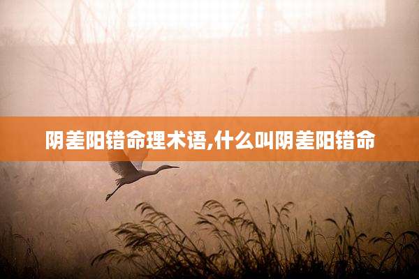 阴差阳错命理术语,什么叫阴差阳错命
