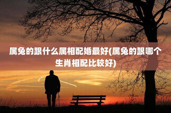 属兔的跟什么属相配婚最好(属兔的跟哪个生肖相配比较好)