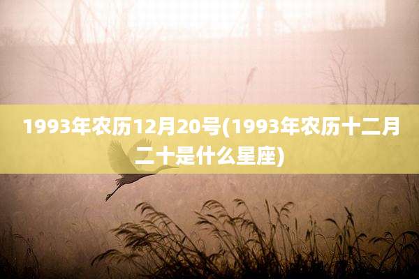 1993年农历12月20号(1993年农历十二月二十是什么星座)