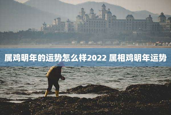 属鸡明年的运势怎么样2022 属相鸡明年运势