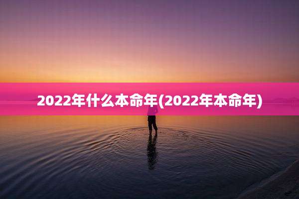 2022年什么本命年(2022年本命年)