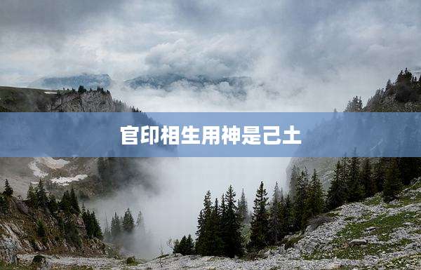 官印相生用神是己土