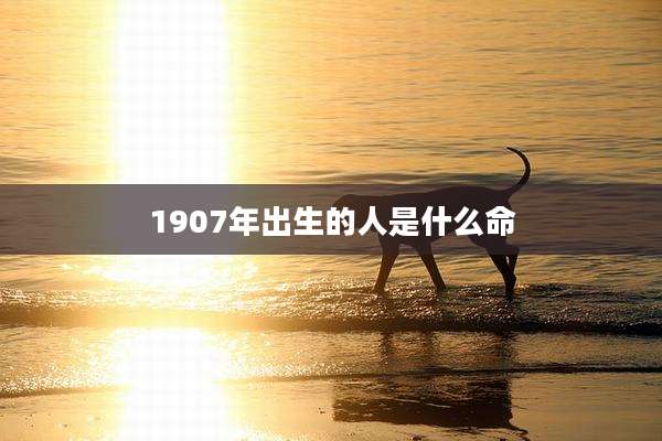 1907年出生的人是什么命