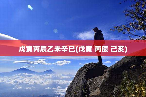 戊寅丙辰乙未辛巳(戊寅 丙辰 己亥)
