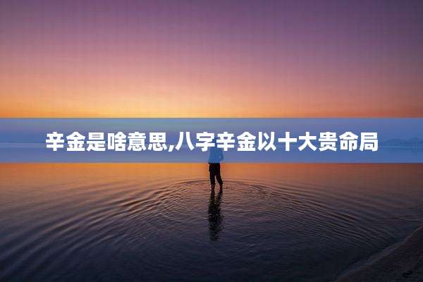 辛金是啥意思,八字辛金以十大贵命局