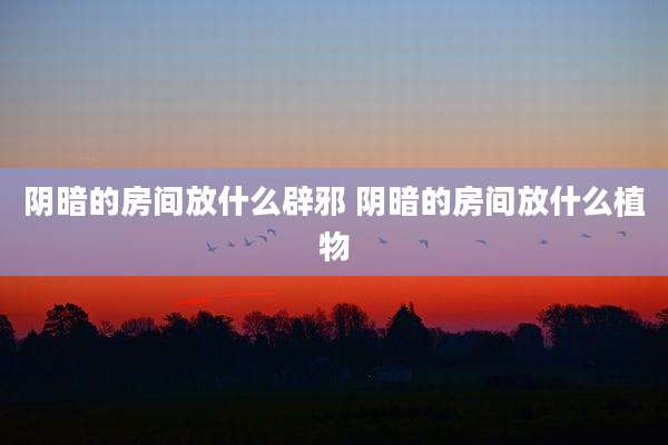 阴暗的房间放什么辟邪 阴暗的房间放什么植物