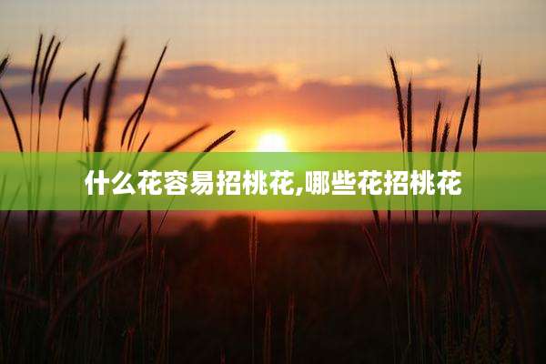 什么花容易招桃花,哪些花招桃花