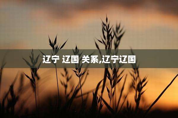 辽宁 辽国 关系,辽宁辽国