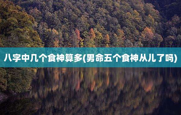 八字中几个食神算多(男命五个食神从儿了吗)