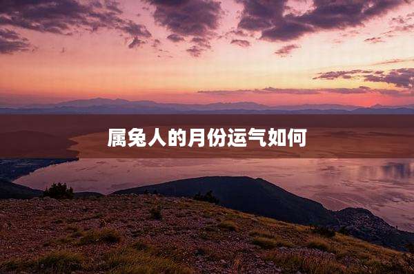 属兔人的月份运气如何