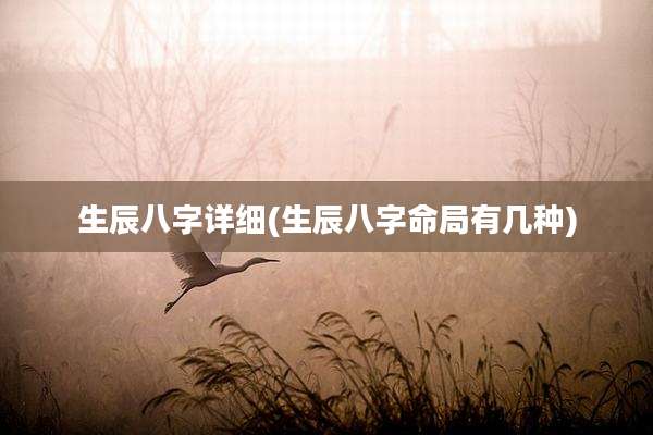 生辰八字详细(生辰八字命局有几种)