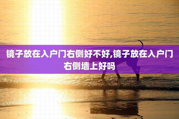 镜子放在入户门右侧好不好,镜子放在入户门右侧墙上好吗